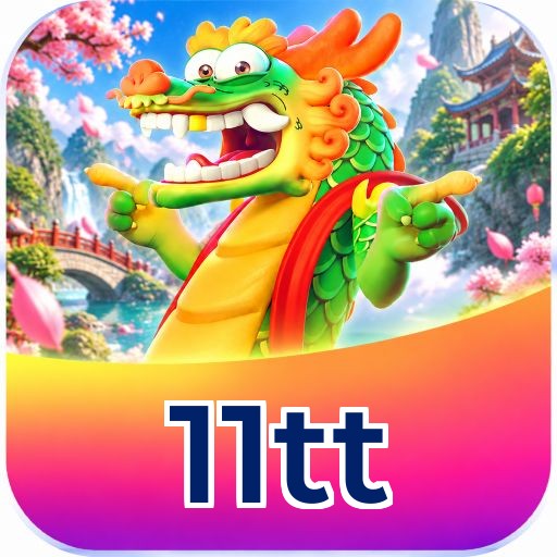 11tt Installation Guide